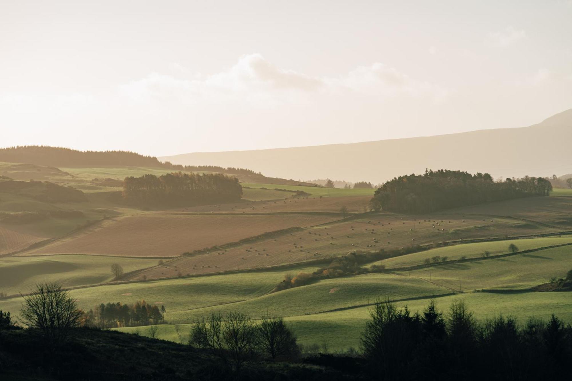 Luxury Couple'S Retreat With Hot Tub At Lindores Newburgh  Buitenkant foto